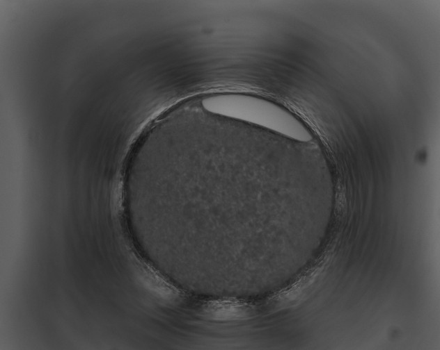 X0000097950351200804011640