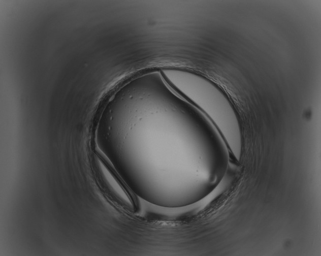X0000097950352200804011640