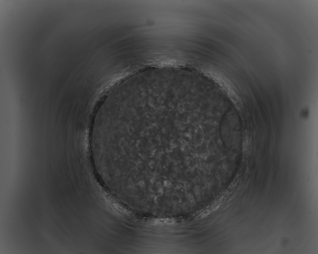X0000097950353200804011640