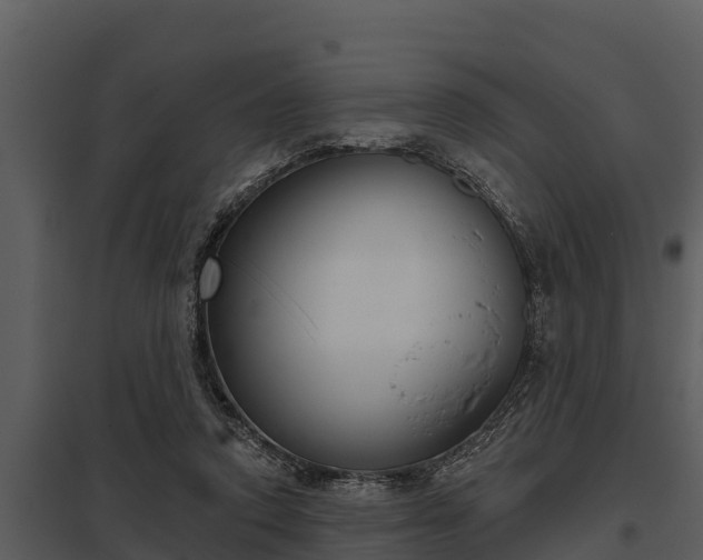 X0000097950354200804011640
