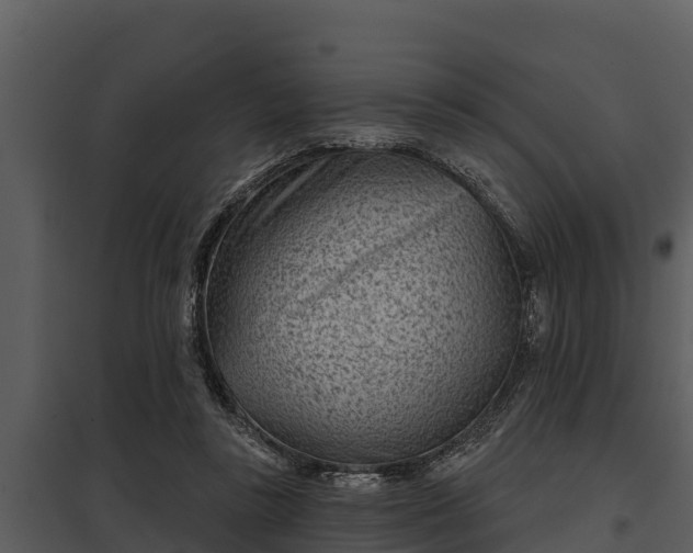 X0000097950355200804011640