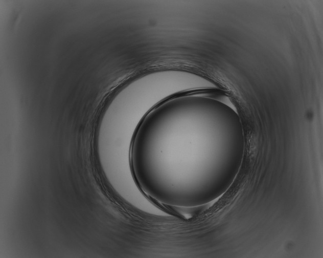 X0000097950356200804011640