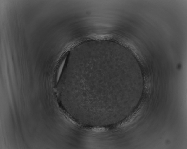 X0000097950357200804011640