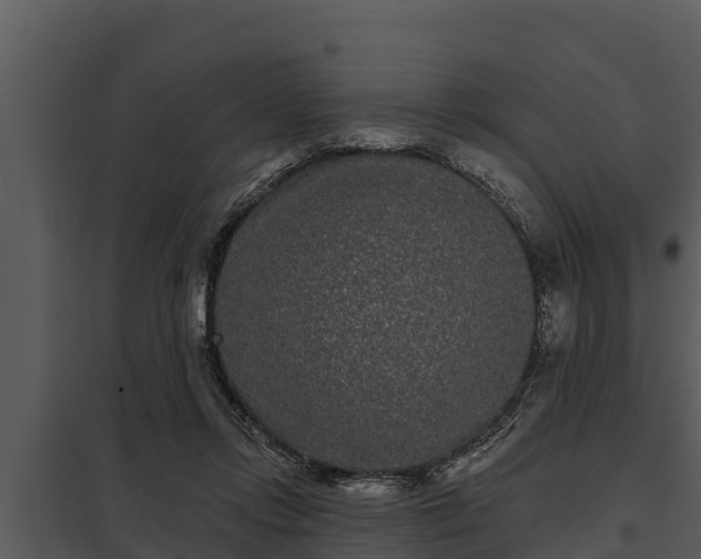X0000097950358200804011640
