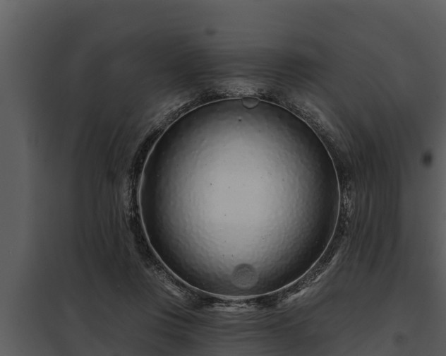 X0000097950359200804011640
