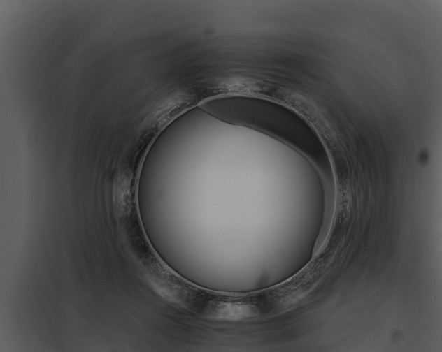X0000097950360200804011640