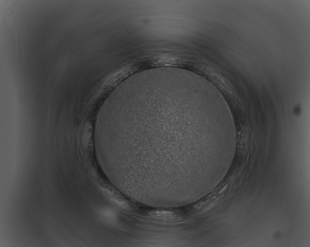X0000097950361200804011640
