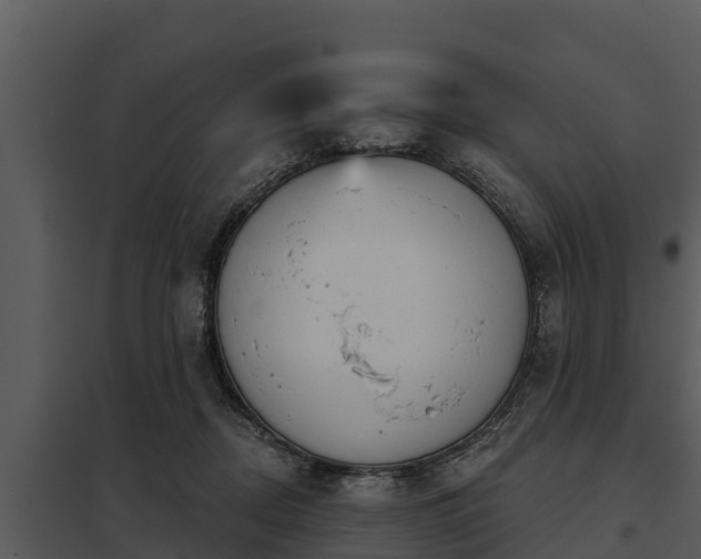 X0000097950362200804011640