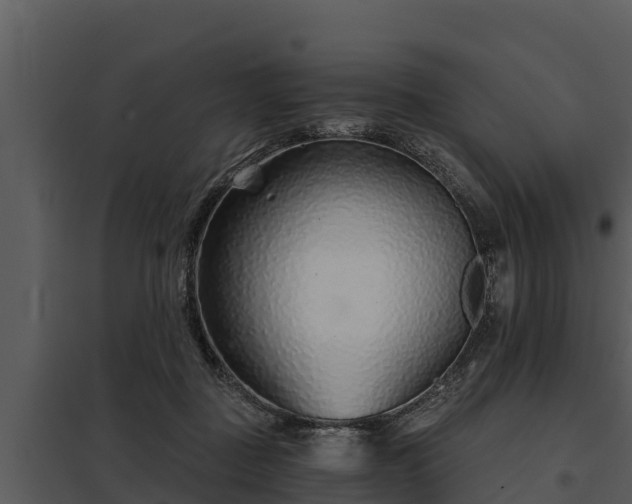 X0000097950363200804011640