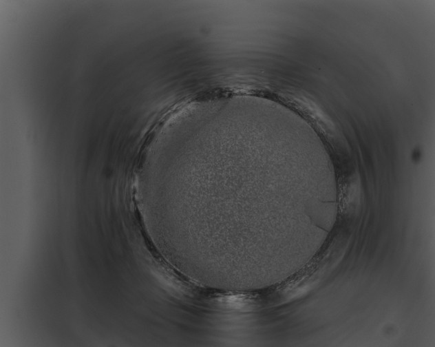 X0000097950365200804011640