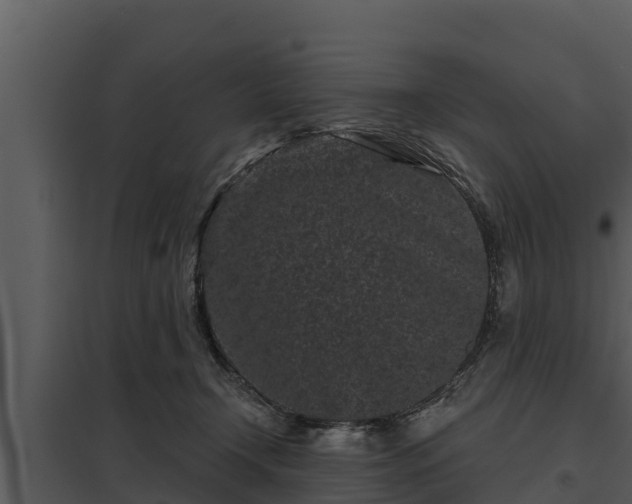 X0000097950366200804011640