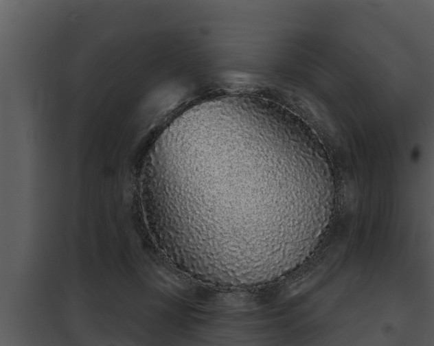 X0000097950367200804011640