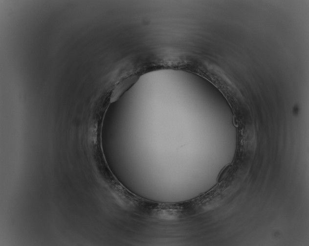 X0000097950368200804011640