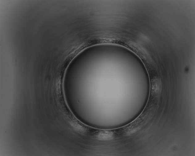 X0000097950369200804011640