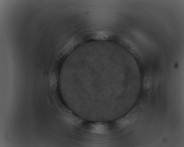 X0000097950370200804011640