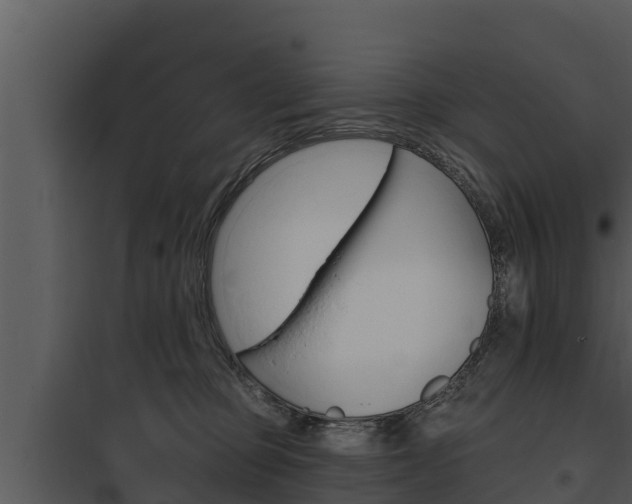 X0000097950373200804011640
