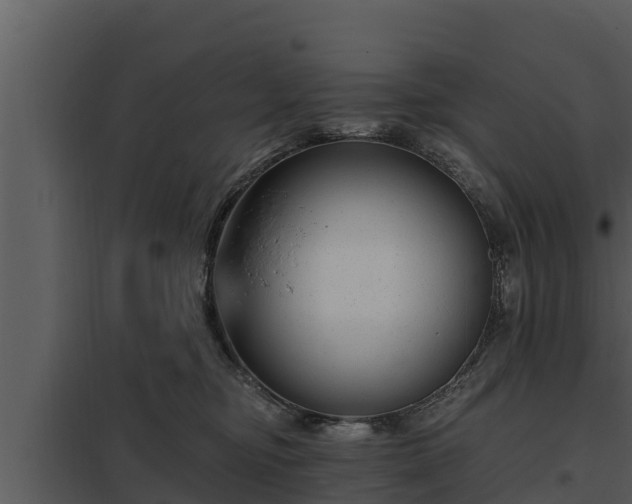X0000097950374200804011640