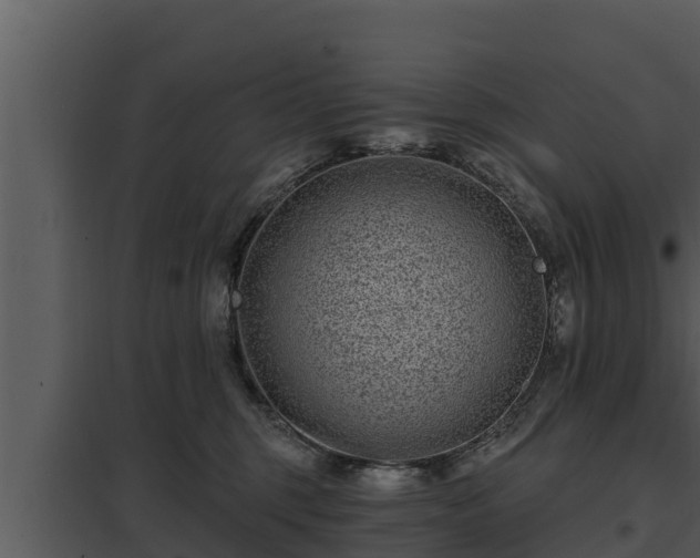 X0000097950375200804011640