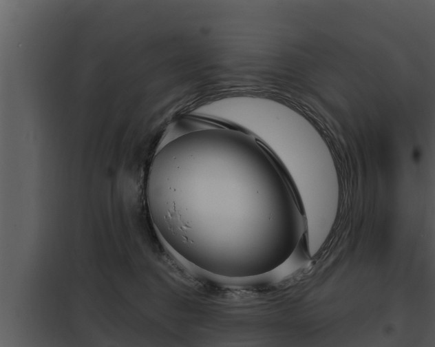 X0000097950376200804011640