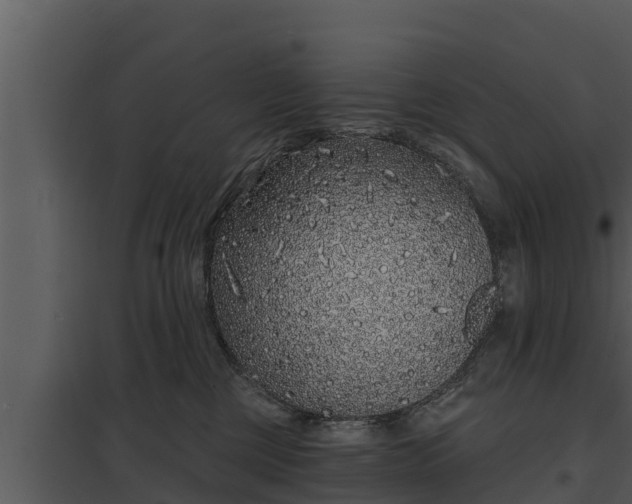 X0000097950377200804011640