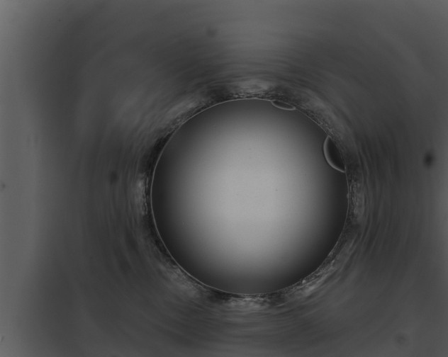 X0000097950378200804011640