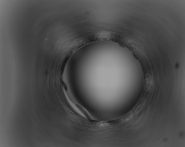 X0000097950379200804011640