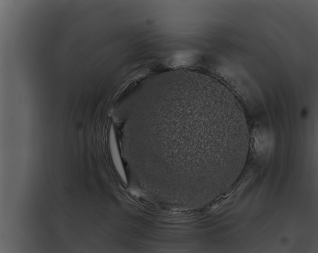 X0000097950380200804011640