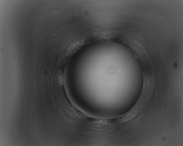 X0000097950384200804011640