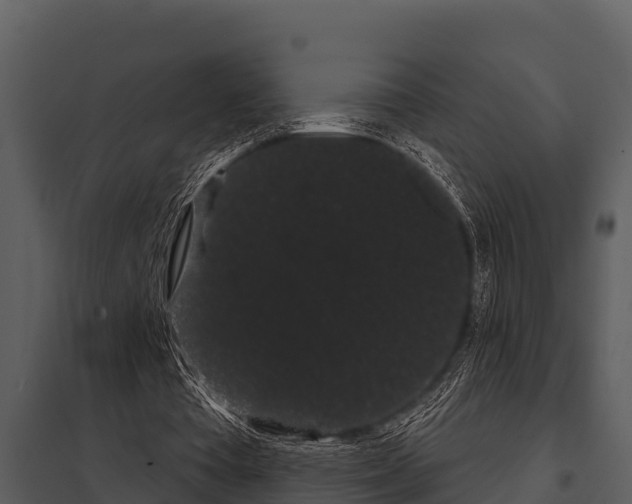 X0000097950385200804011640