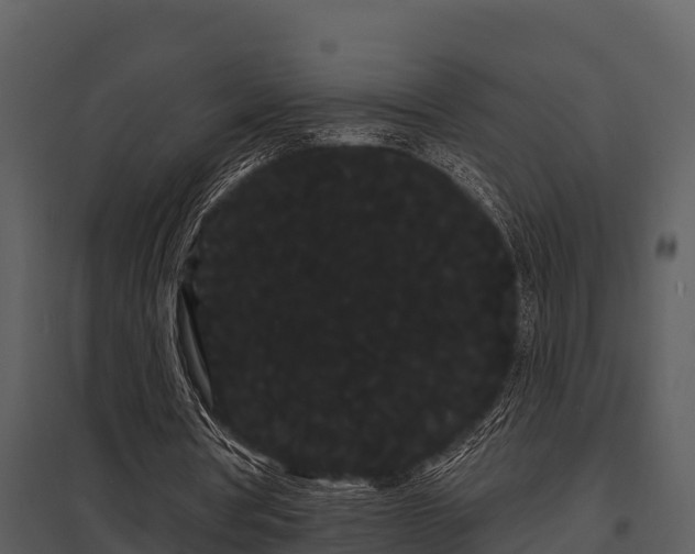 X0000097950386200804011640