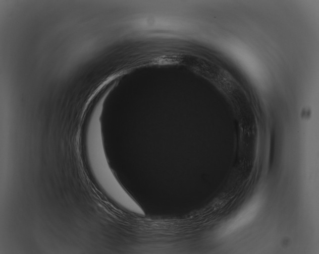 X0000097950387200804011640