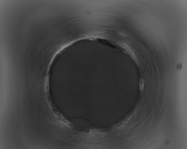 X0000097950388200804011640