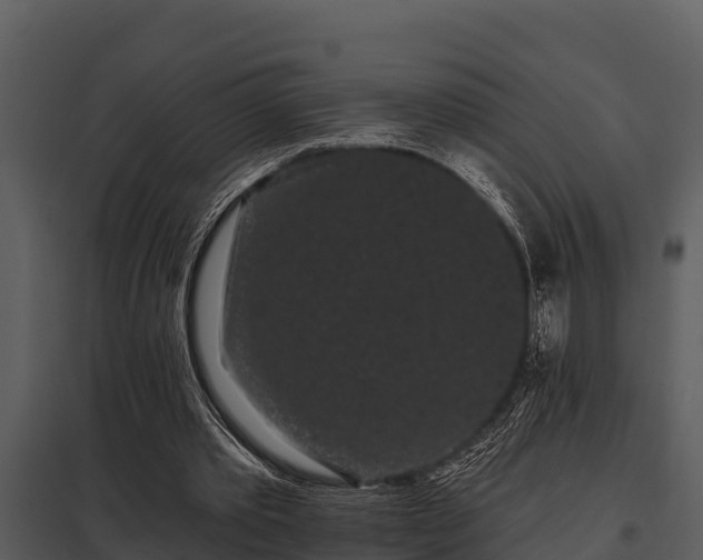 X0000097950389200804011640