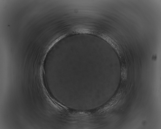 X0000097950390200804011640