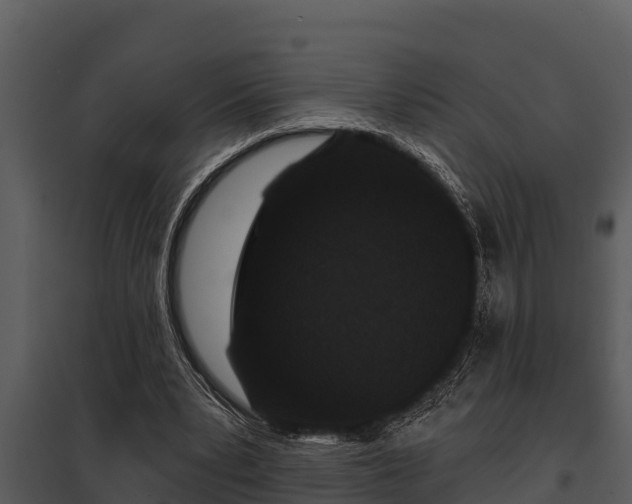 X0000097950391200804011640