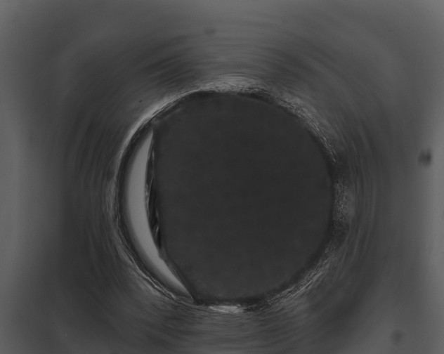 X0000097950392200804011640