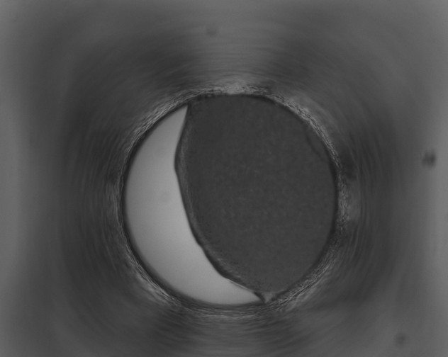 X0000097950393200804011640
