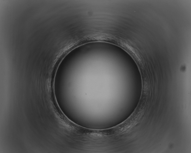 X0000097950394200804011640