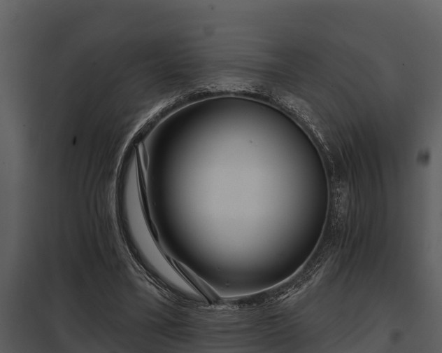 X0000097950395200804011640