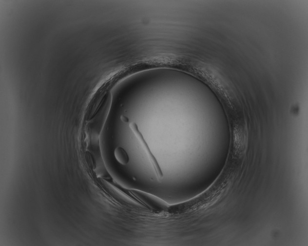X0000097950396200804011640