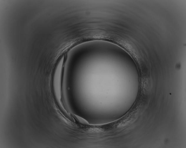 X0000097950397200804011640