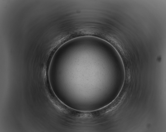 X0000097950398200804011640