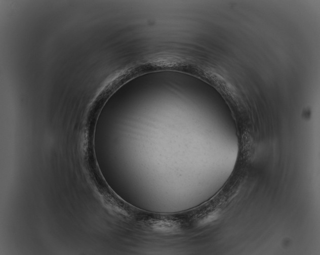 X0000097950400200804011640