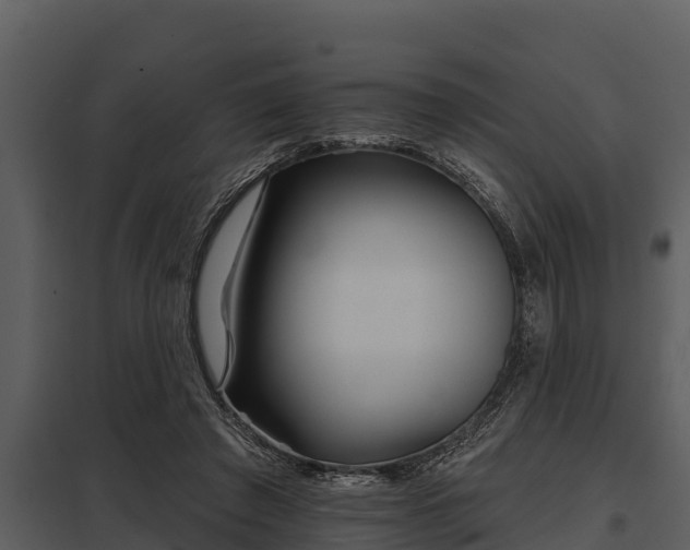 X0000097950401200804011640