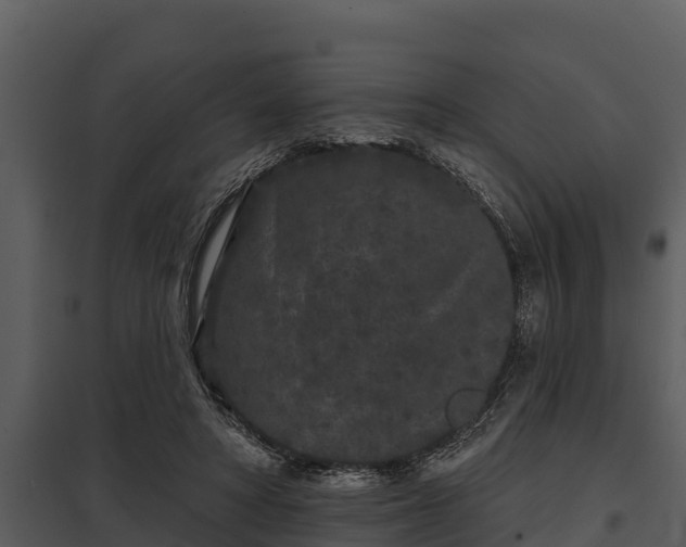 X0000097950402200804011640