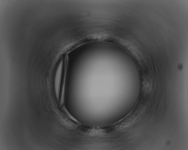 X0000097950403200804011639