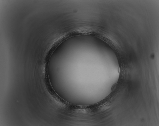 X0000097950404200804011639