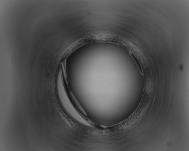 X0000097950405200804011639