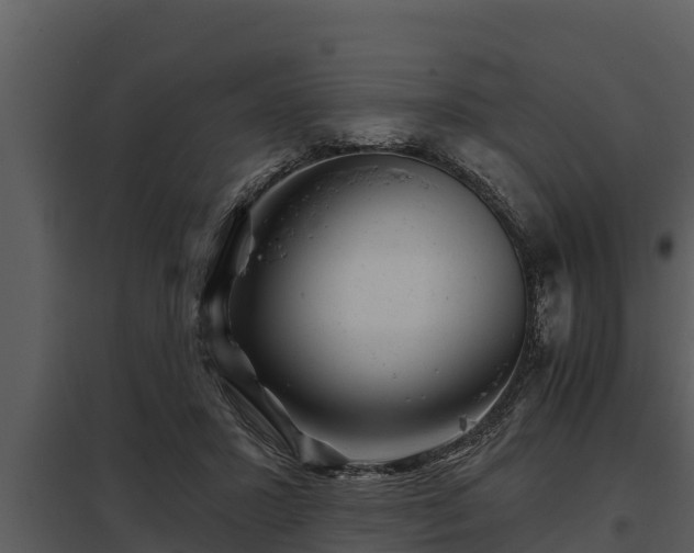 X0000097950407200804011639