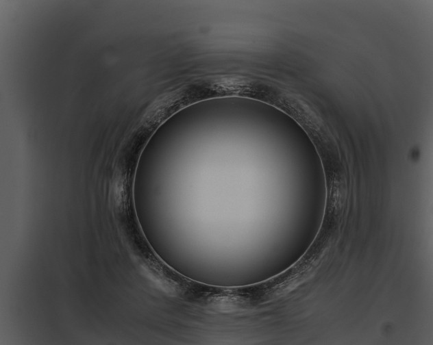 X0000097950408200804011639